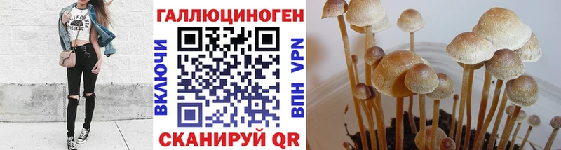 Купить где  Оханск  Псилоцибиновые грибы ЛСД 